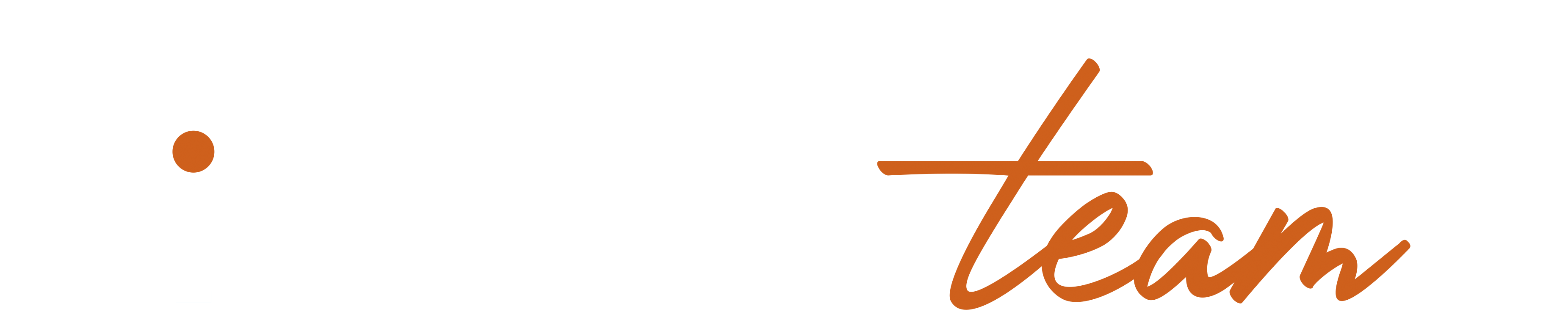 Logo Identity-Team